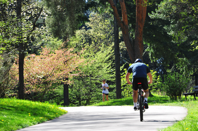 Un cycliste dans le parc de Parilly