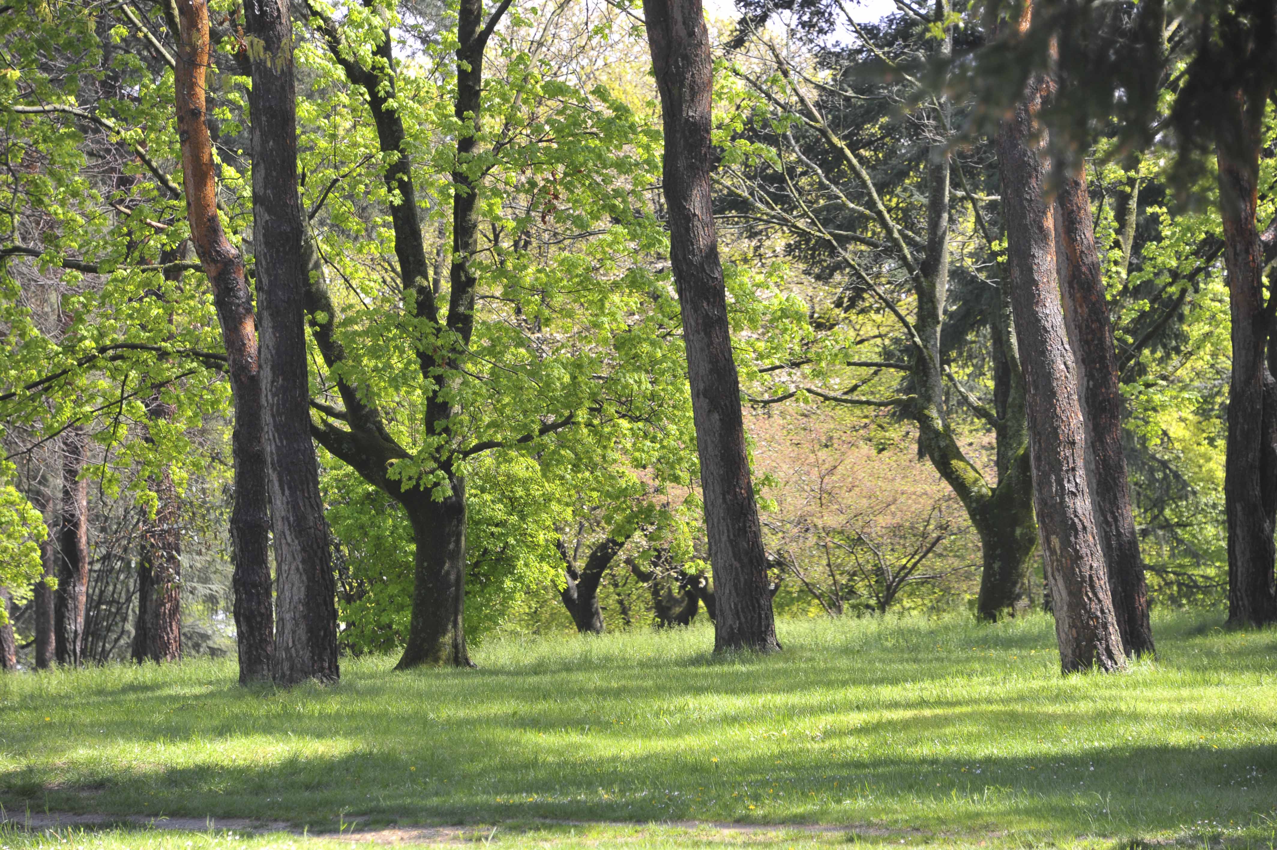 Parc de Parilly