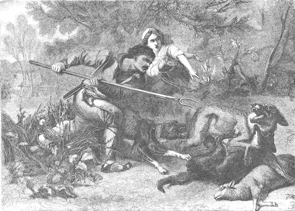 Une chasse au loup en 1861