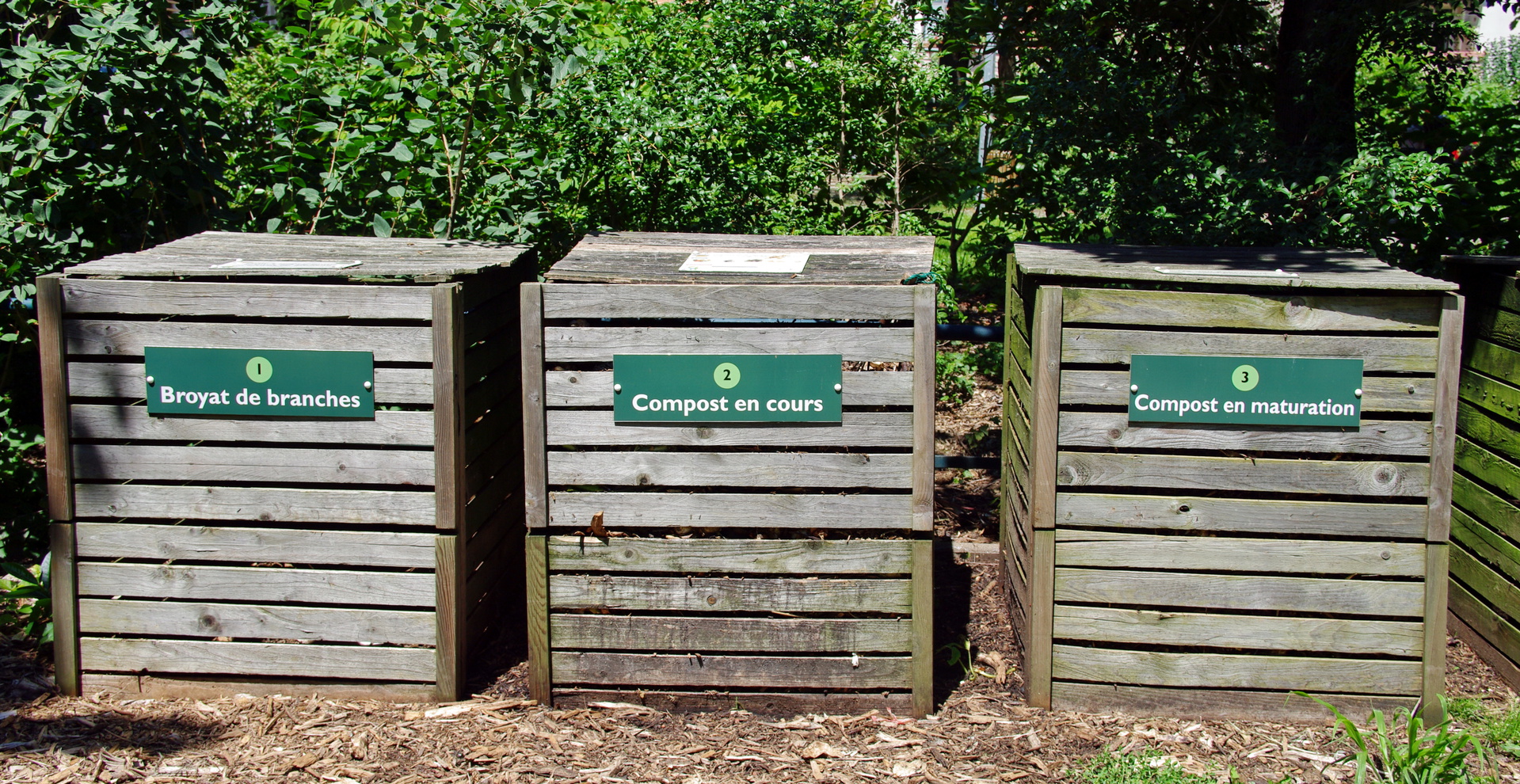 Comment gérer ses déchets de taille et de tonte au jardin ?