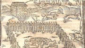 Gravure d'un parc à brebis, 1666