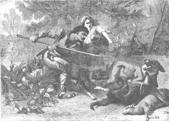 Vignette
