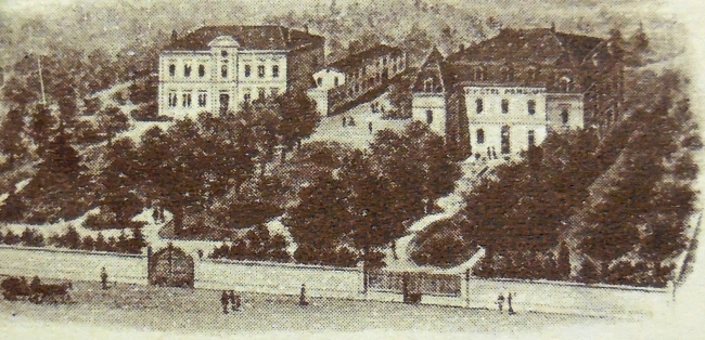 Vignette