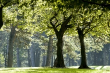 Parc de Parilly en automne