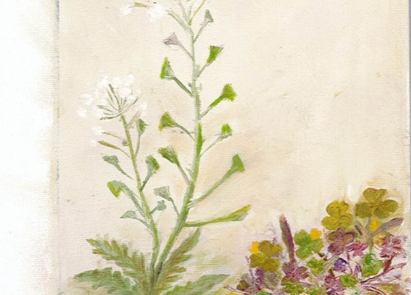 Peinture herbes folles