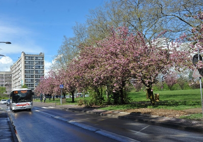 Le quartier de Parilly