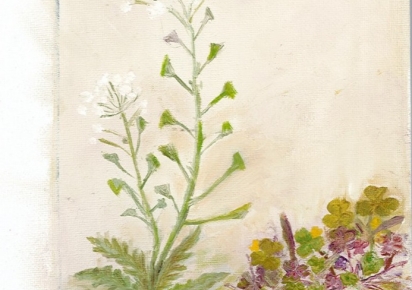 Peinture herbes folles